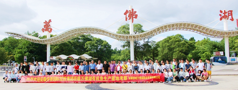 岸香集团优秀员工来DB视讯有机鱼养殖基地游学团建活动