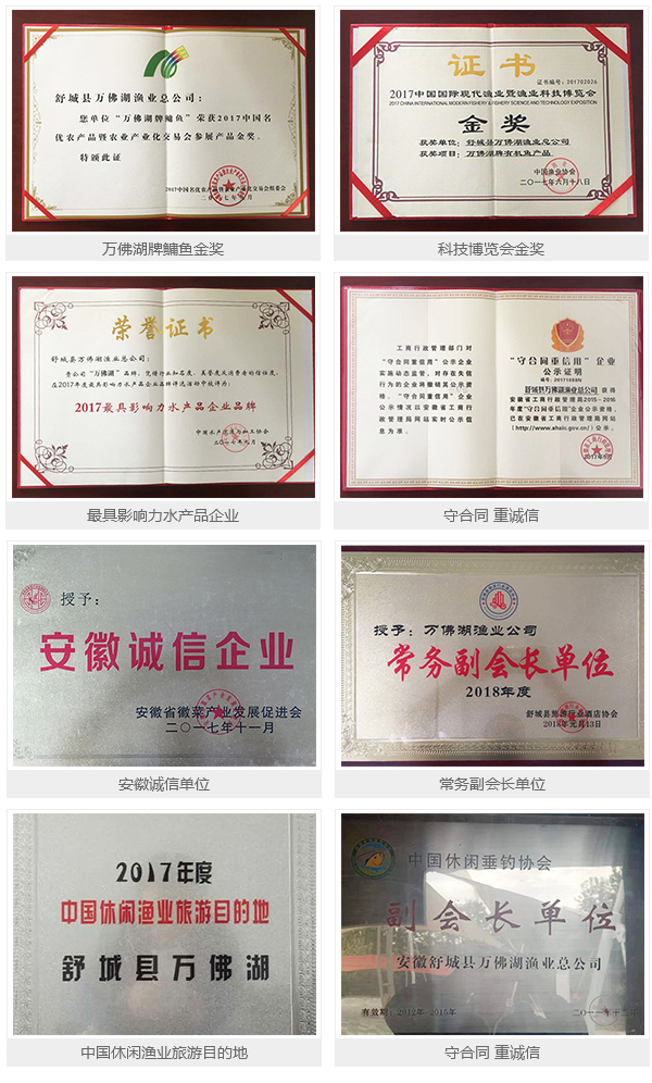 荣誉资质11.jpg