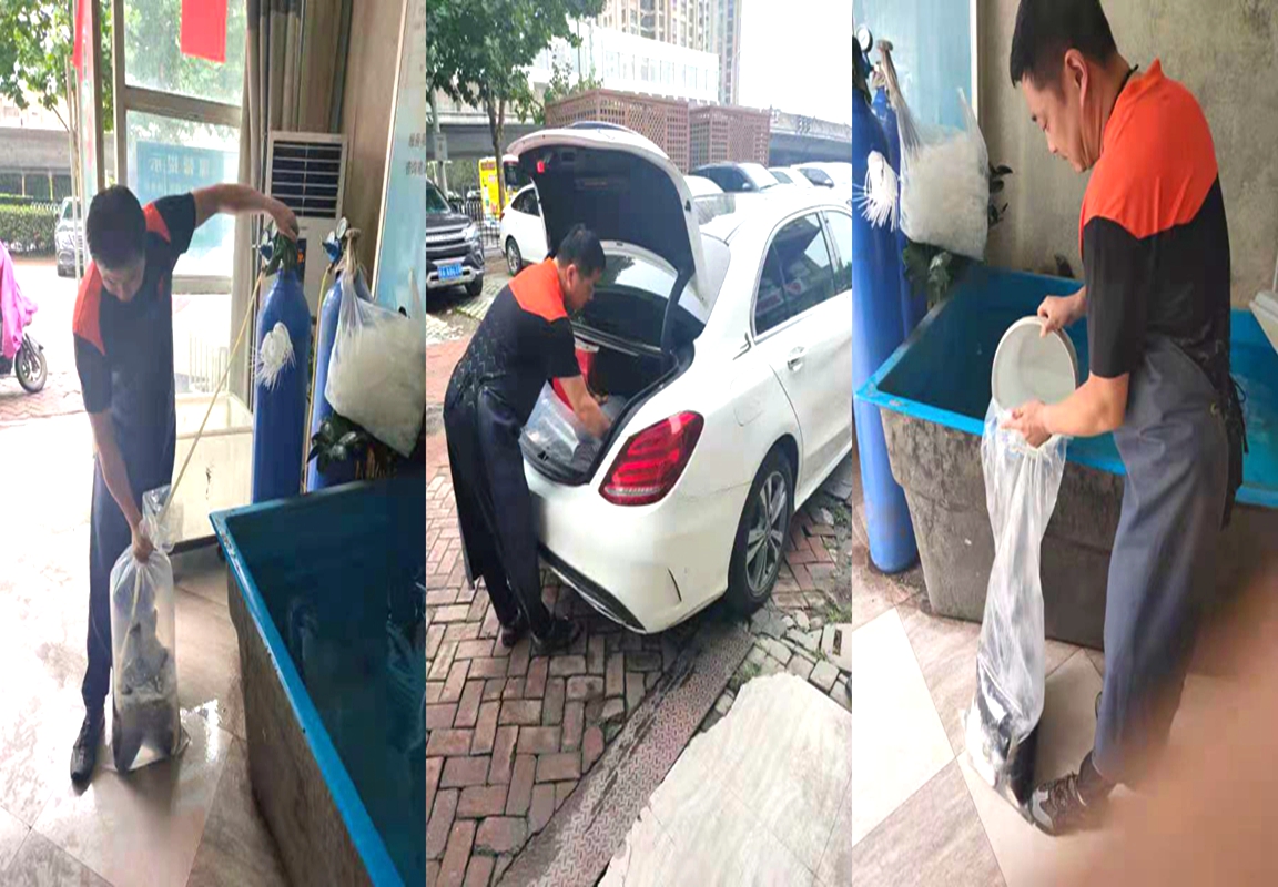 不忘初心践行使命，细致服务促营销