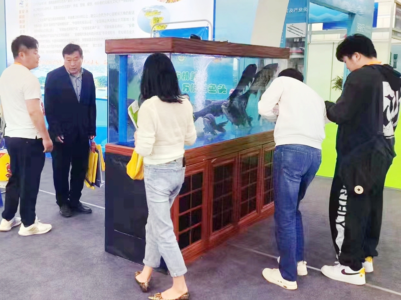 DB视讯有机鱼荣膺第六届中国国际现代渔业博览会金奖